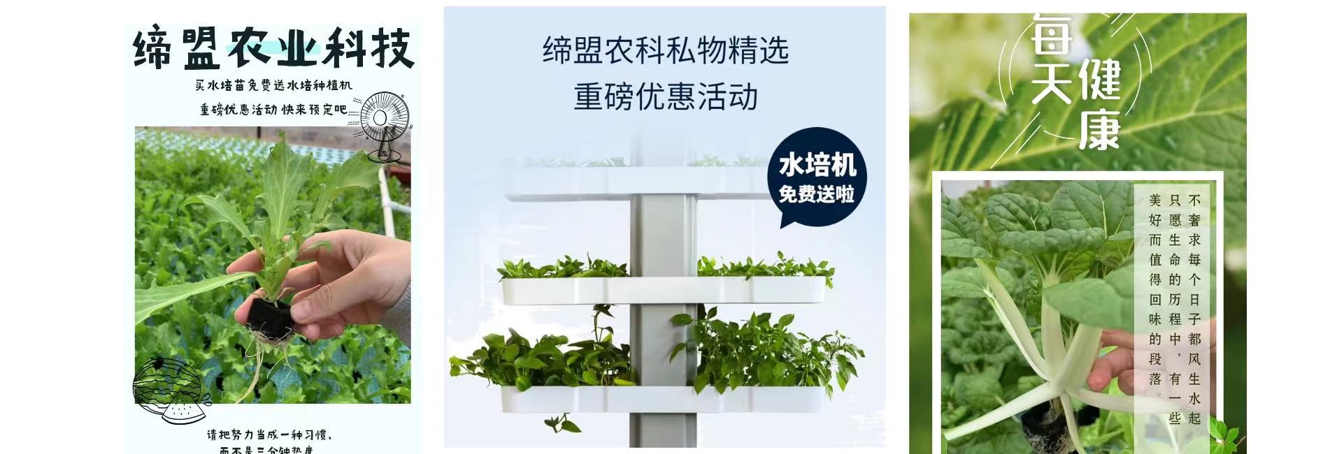 預(yù)付苗款免費(fèi)送水培種植機(jī)