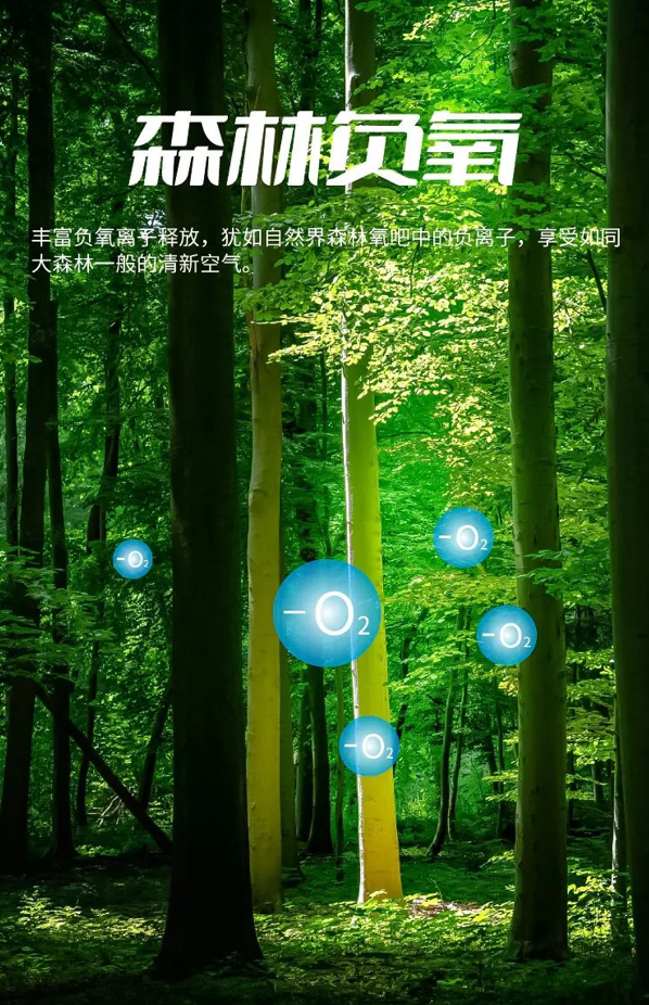 插圖00005.png